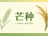 今日芒种｜暴雨+高温，安全勿松弛